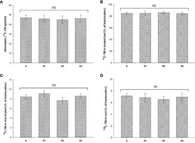 An Asp376Glu substitution in ALS gene and enhanced metabolism confers high tribenuron-methyl resistance in Sinapis alba